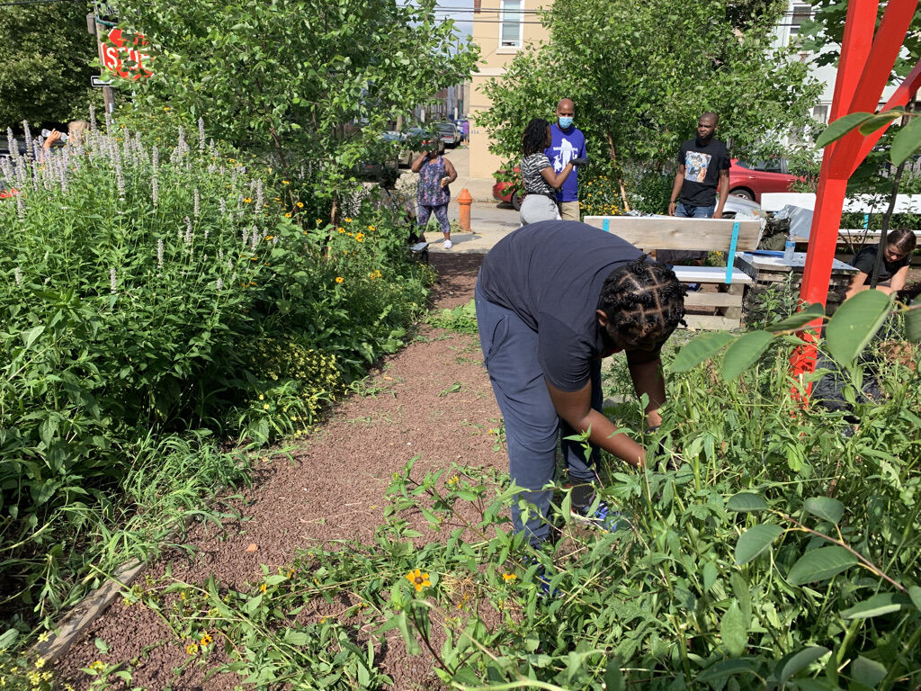 a young person working in a garden