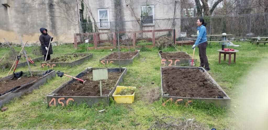 A shot of two people with gardening tools in a yard.