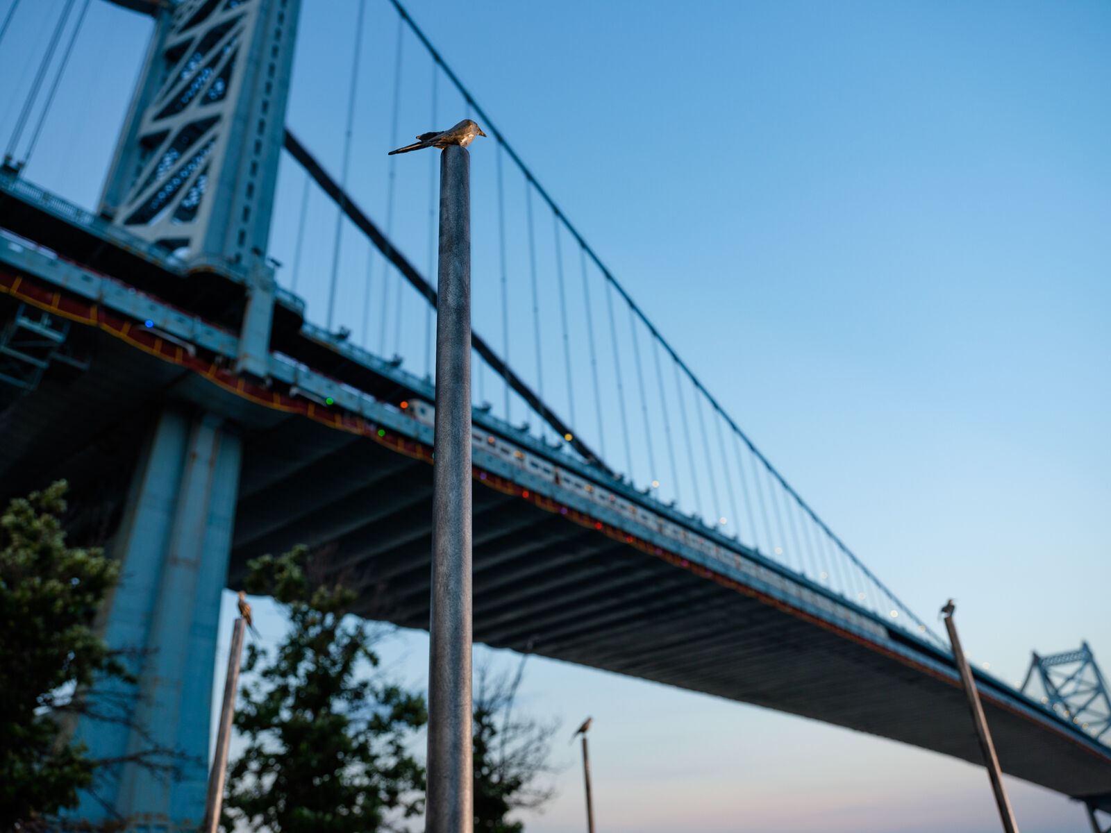 Bronze sculpture of small bird set against backdrop of Ben Franklin bridge