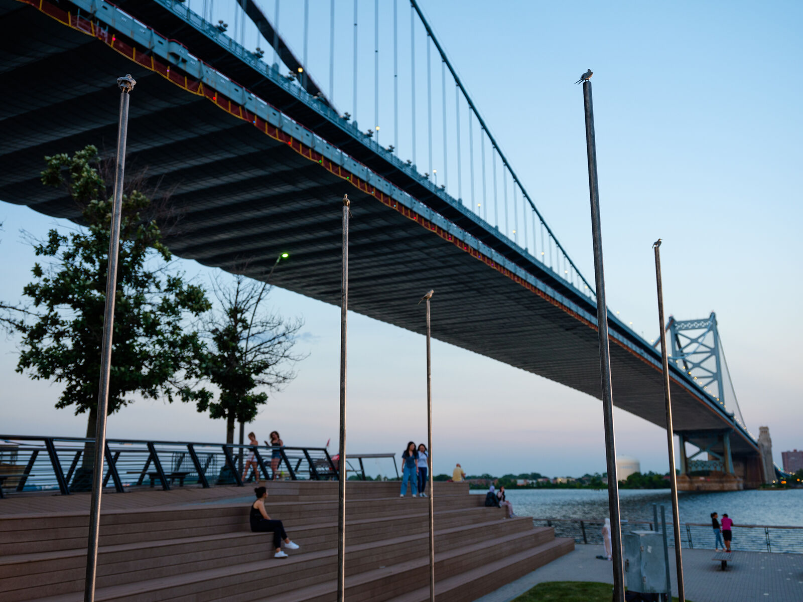 small bronze birds on 12 foot poles, with the riverfront and Benjamin Franklin Bridge in the backround at dusk