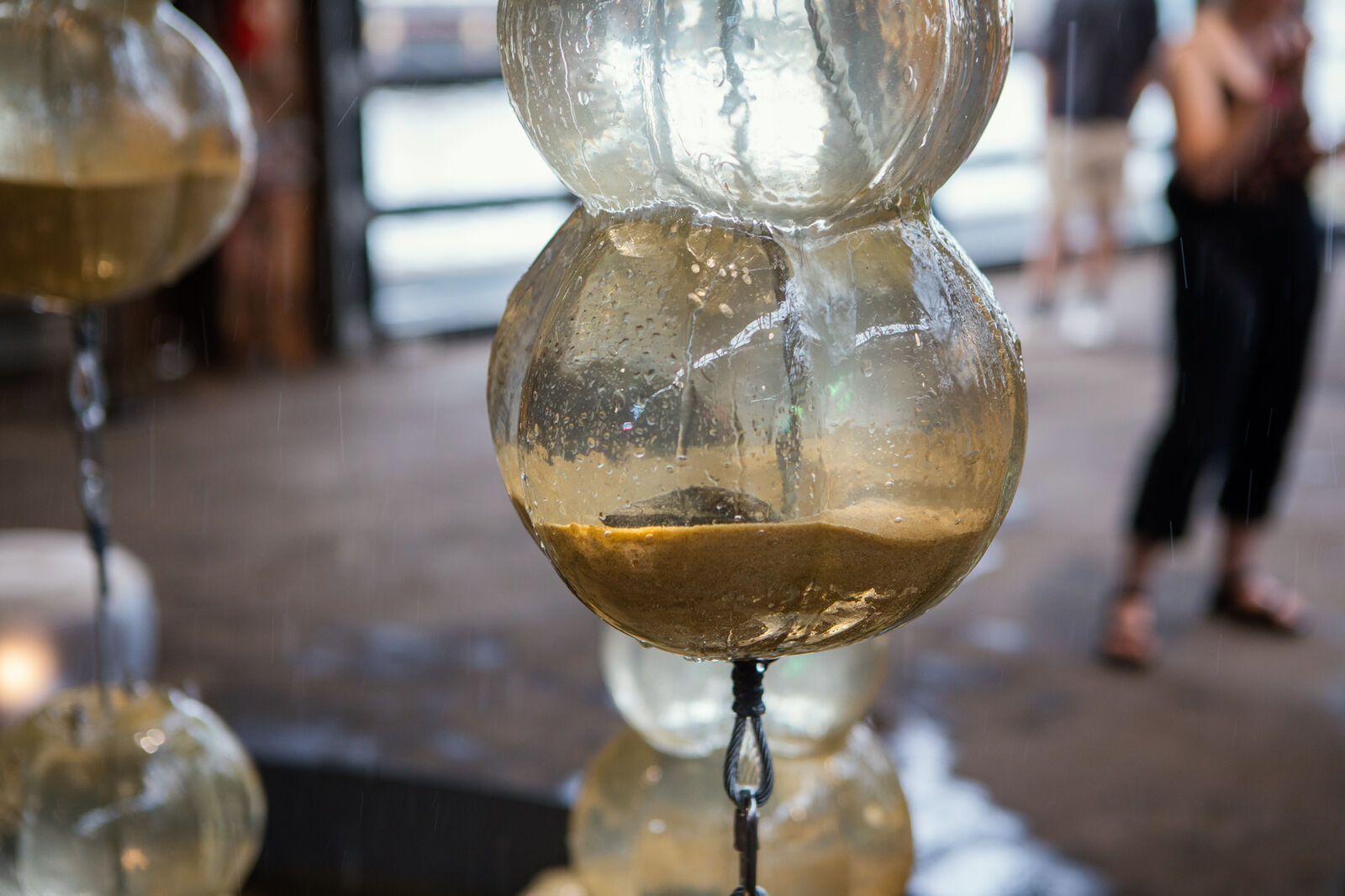 Close-up of a live mussel inside one of the hanging glass vessels that makeup the sculptural fountain installation